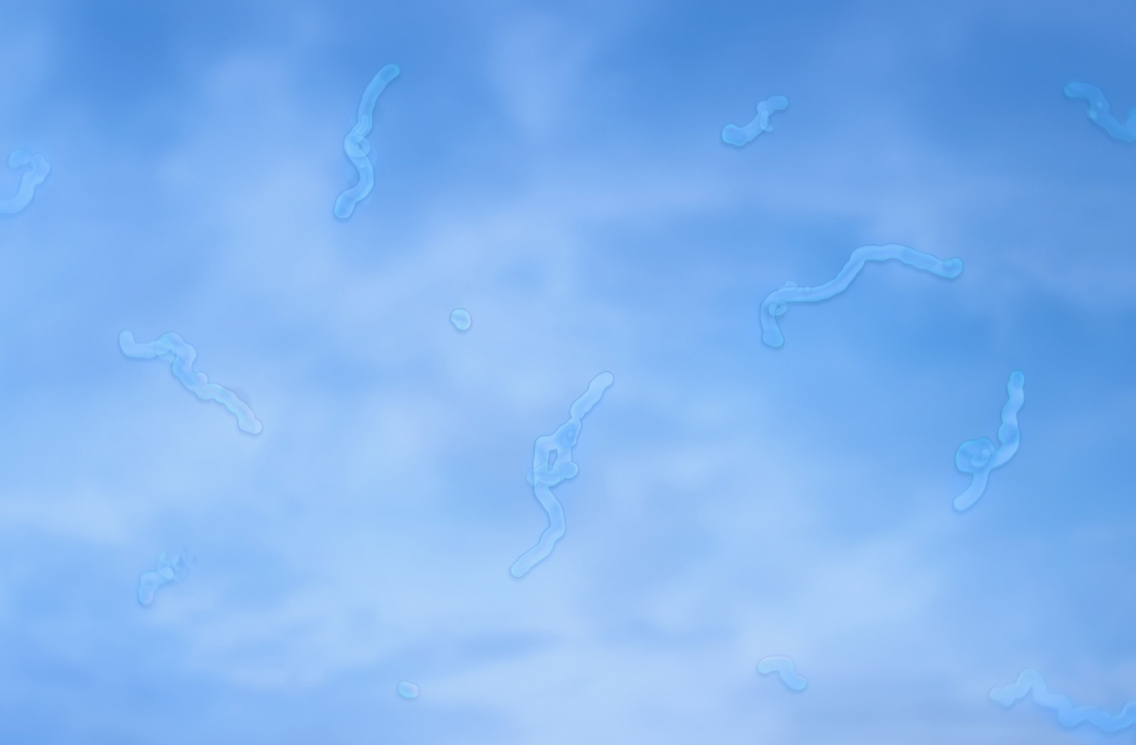 A view of the blue sky, spotted with clouds. The view is blocked by translucent lines, indicative of floaters in the eye.